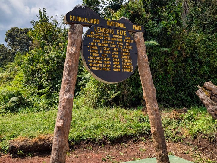 Kilimanjaro – Tag 1: Durch den Regenwald nach Mti Mkubwa